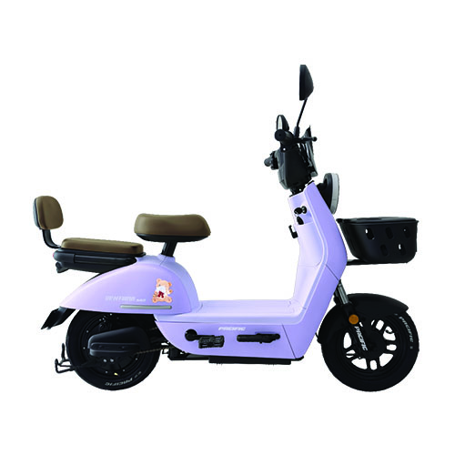 Pacific Ventura M2 - Gambar 8