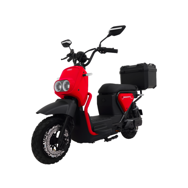 Pasific Magenta Pro